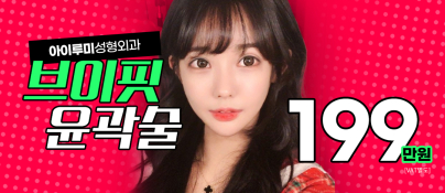 브이핏윤곽술